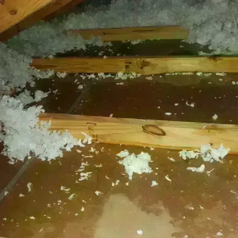 Attic Water Damage in Los Lunas, NM