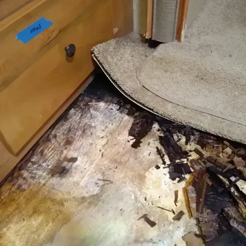 Best Wood Floor Water Damage Service in Los Lunas, NM